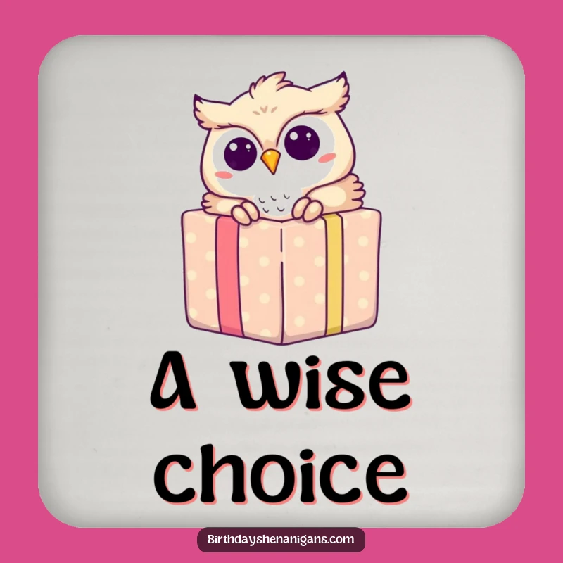 Funny Owl Gift Peek Coaster Set: Protect Tables With Charm